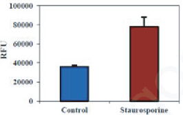 BBI細(xì)胞組學(xué)產(chǎn)品秋冬促銷火熱開啟，放開價(jià)勢(shì)無(wú)需再等
